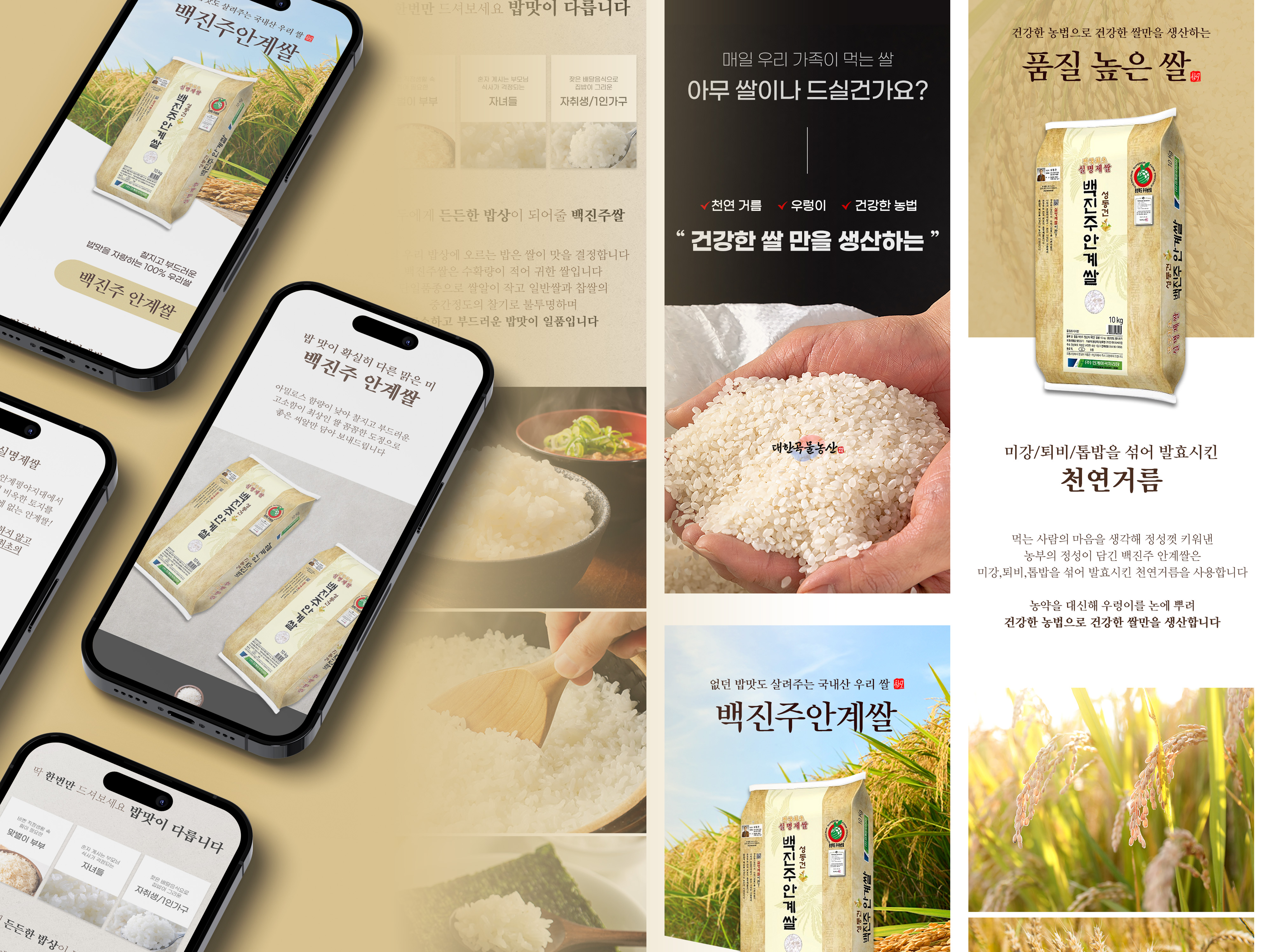 대한곡물농산 | 백진주안계쌀