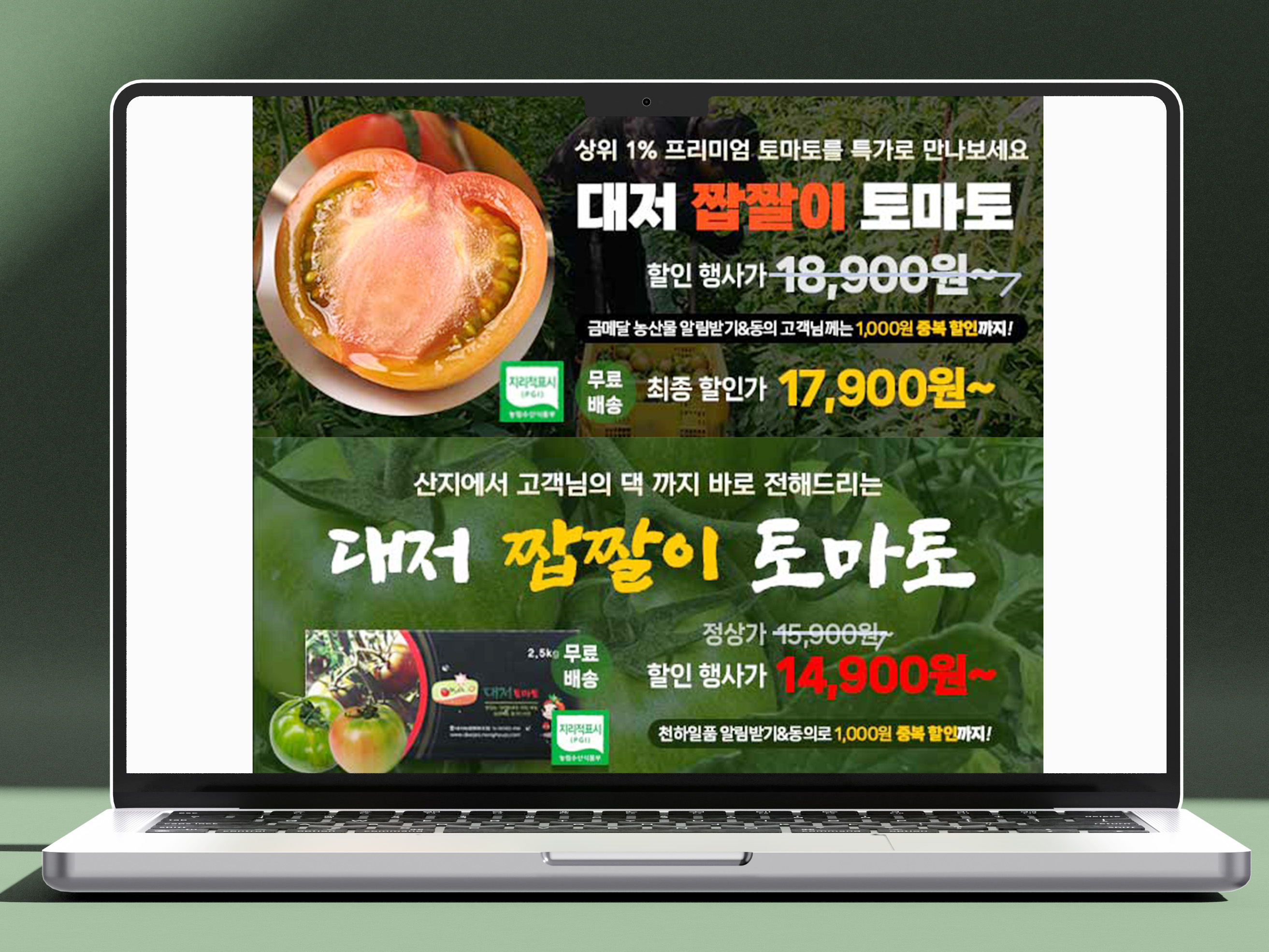 대저토마토 | 롤링배너